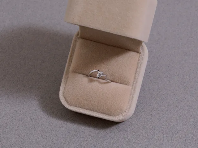 PT Diamond Ring (Morning)