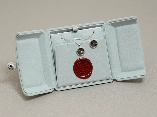 14k White Gold Earring & Pendant Set (Star)