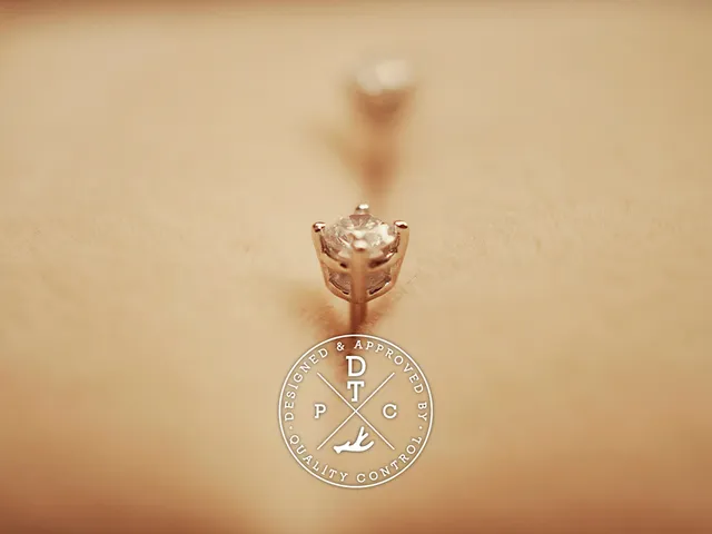 18k White Gold Earrings