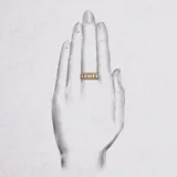 d.vine 戒指 · 玫瑰金＋白金 3