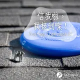 生肖 · 狗 · 純銀 6