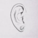 獅子耳環 · 純銀 2
