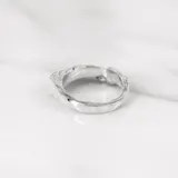 山戒指 · 白金 3