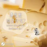生肖 · 鼠 · 純銀 6