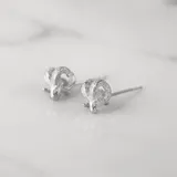 公羊耳環 · 白金 1