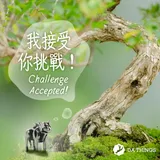 生肖 · 虎 · 純銀 6